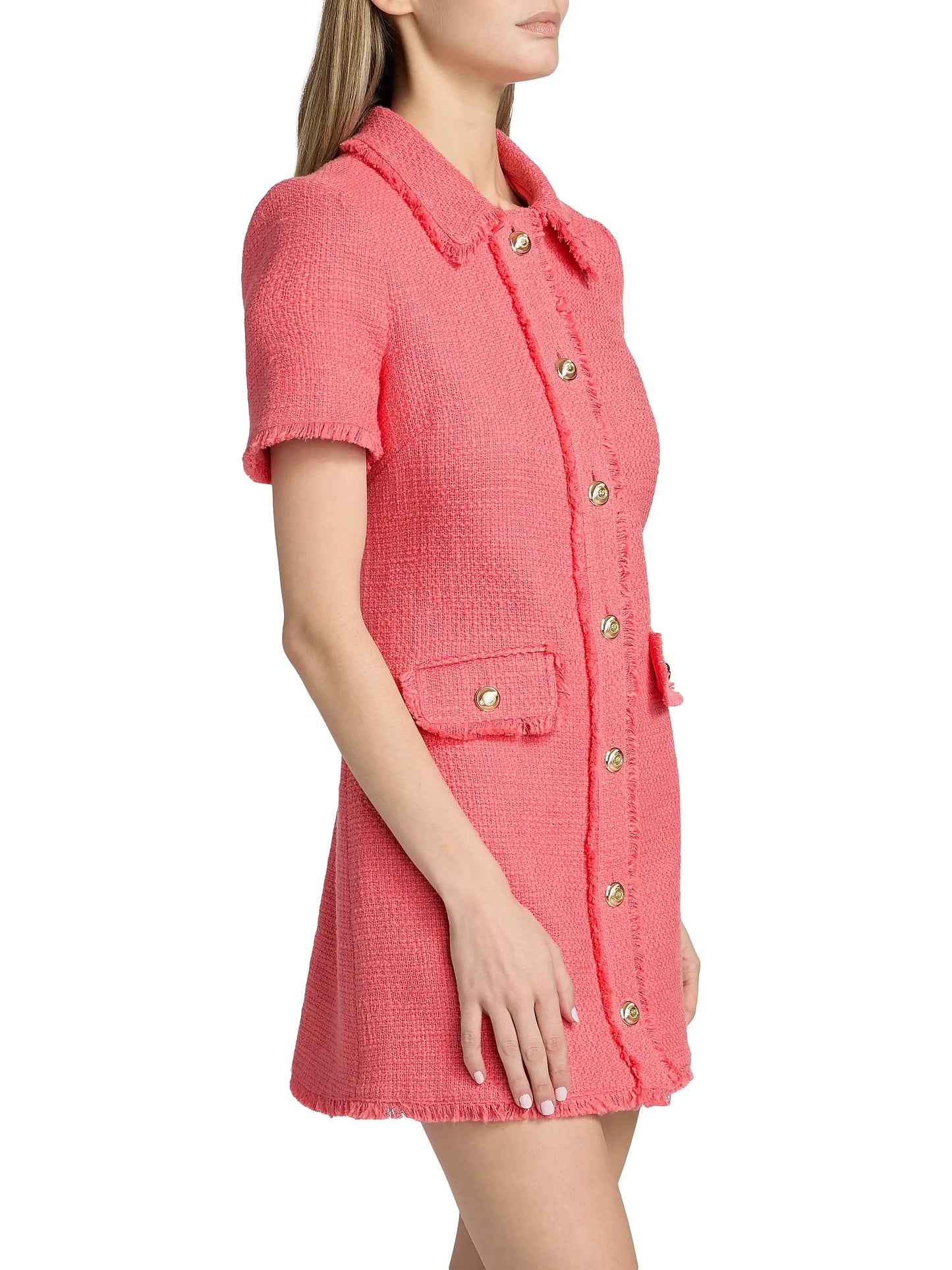 Blush Pammy Dress