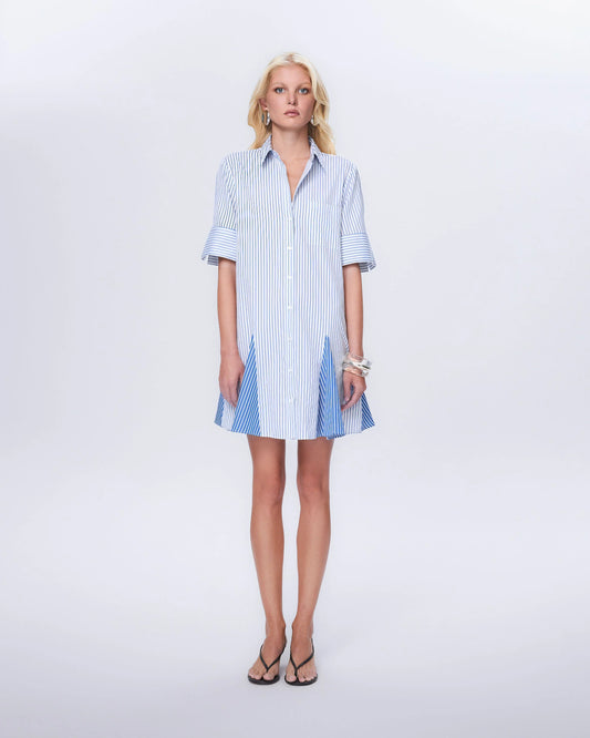 Echo Stripe Shirtdress