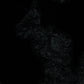 Black Kimber Velvet Lace Camisole