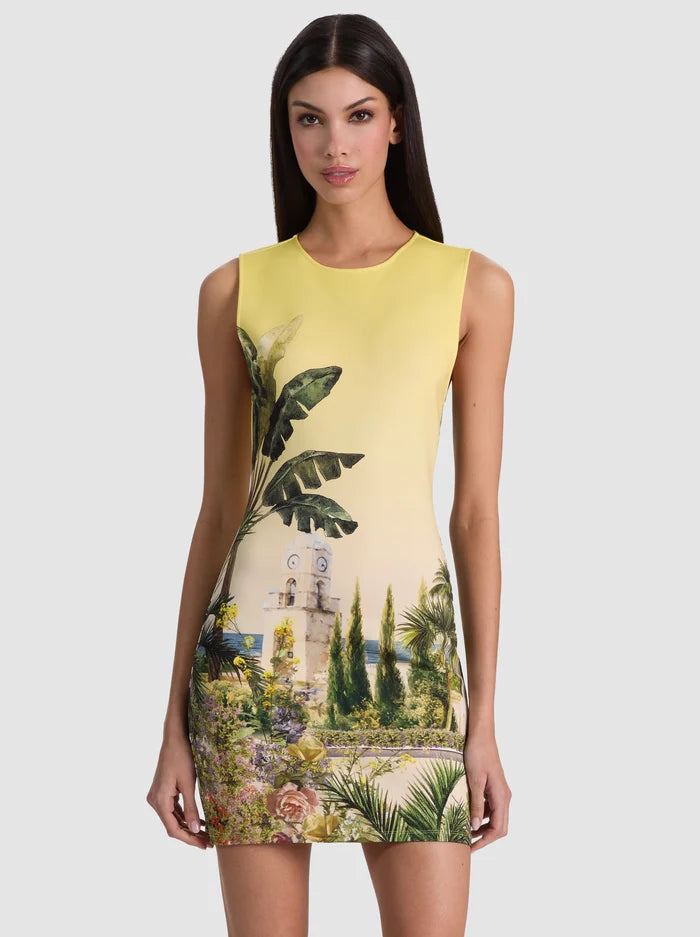 WYNELL STACEFACE FITTED MINI DRESS