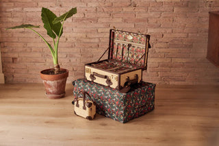 The Explorer Carry-on