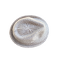 Fedora Wool Hat Ivory