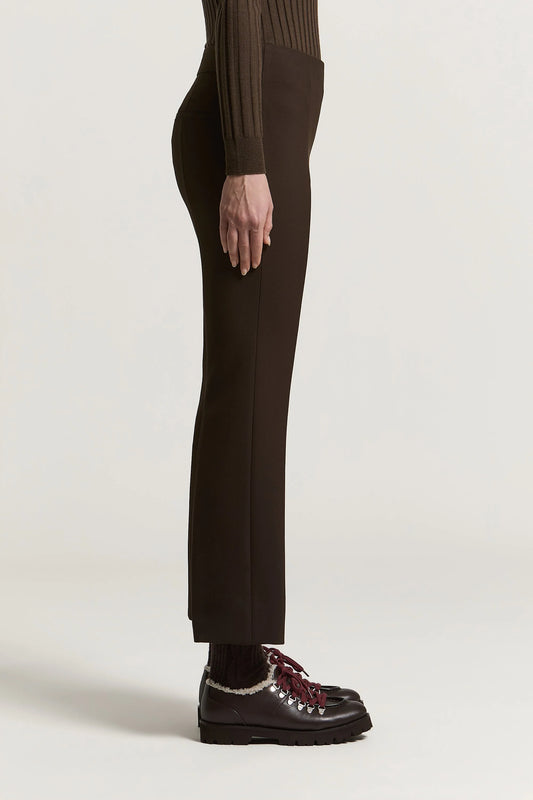 Deep Brown Bistretch Canvas Pants