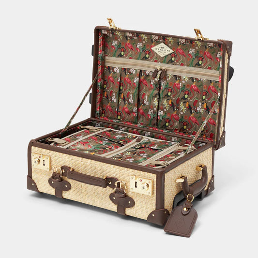 The Explorer Carry-on