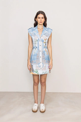 Koi Shirt Mini Dress