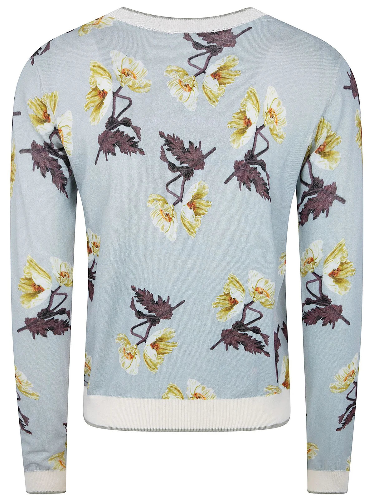 Light Blue Nature Sweater